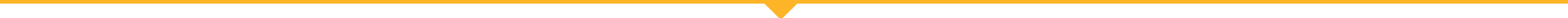 Yellow Divider