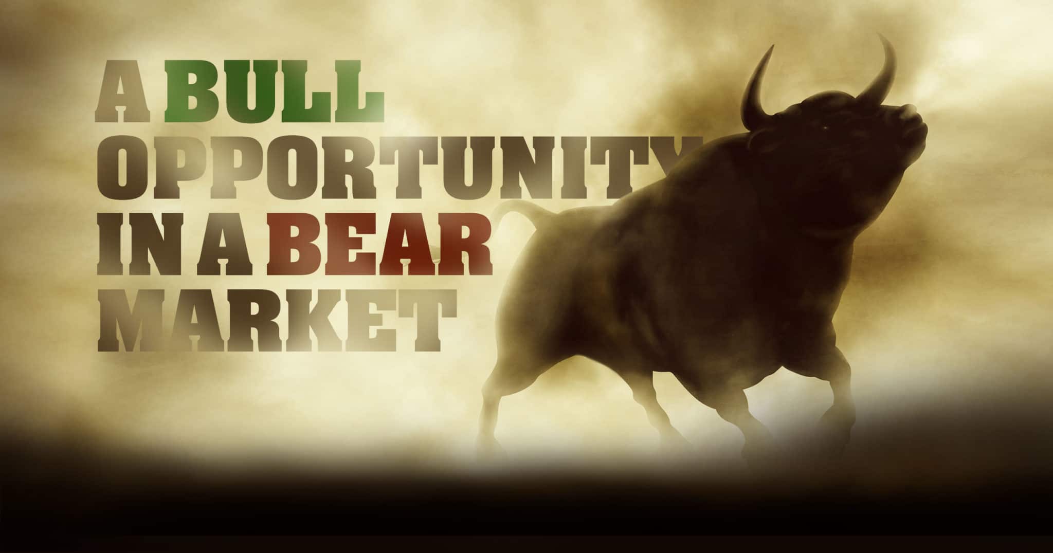 Be a Bull in a Bear Market With Healthy YOU Vending